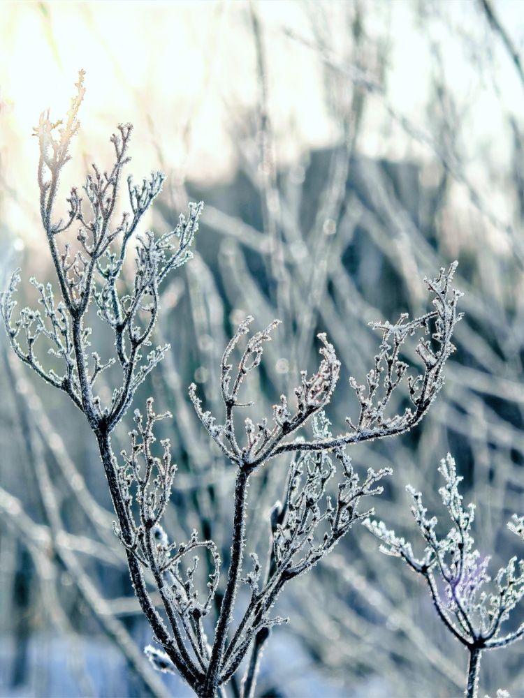 Photograph by Инна Мухина