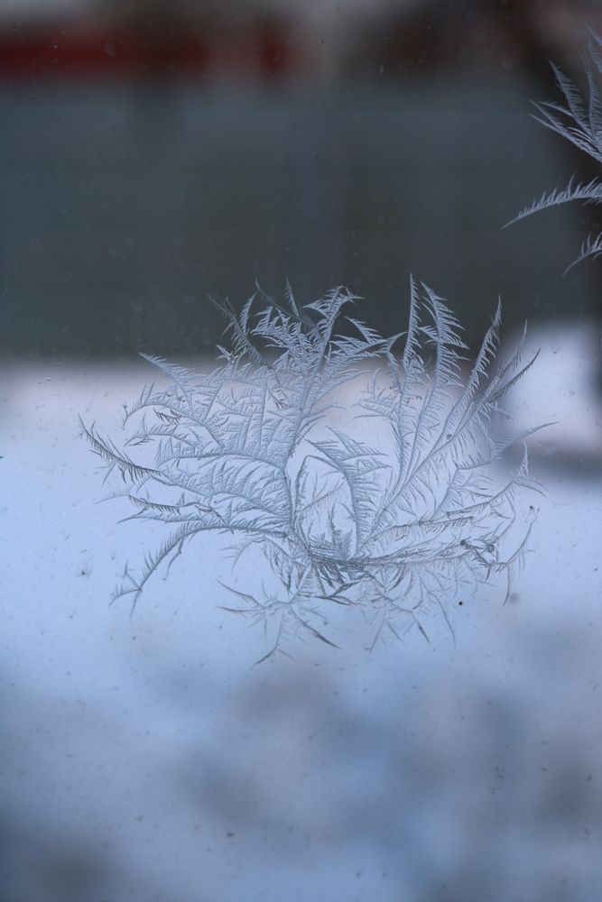 Photograph by Светлана Шуткова