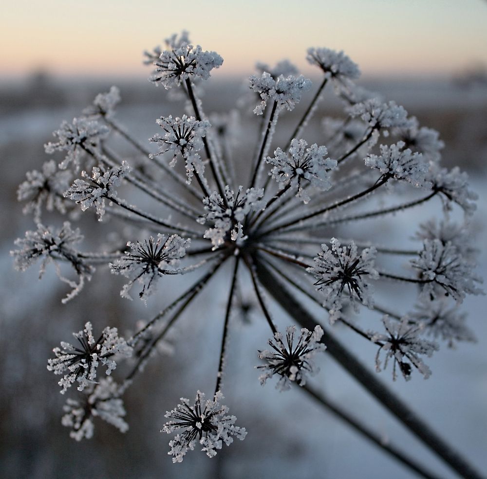 Фотография автора Панюшкин Владислав Владимирович