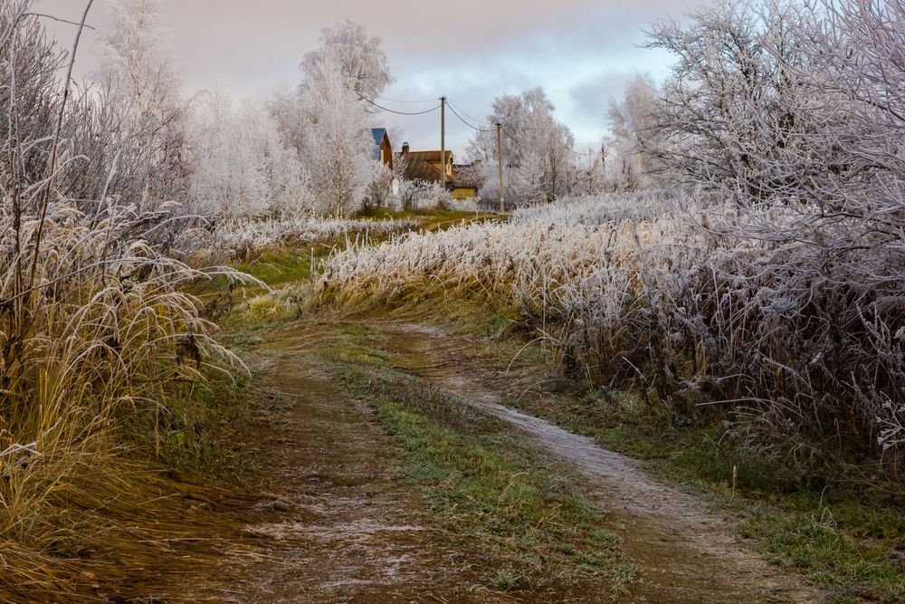 Photograph by Алексей Соколов