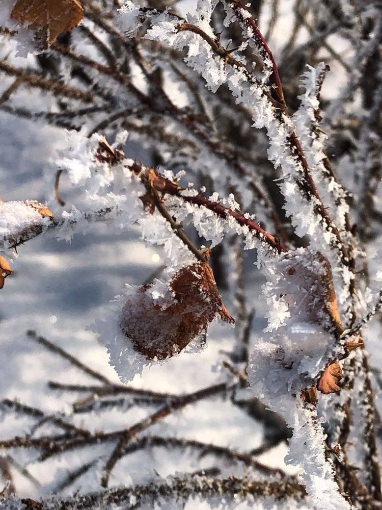 Фотография автора Светлана Гончарова