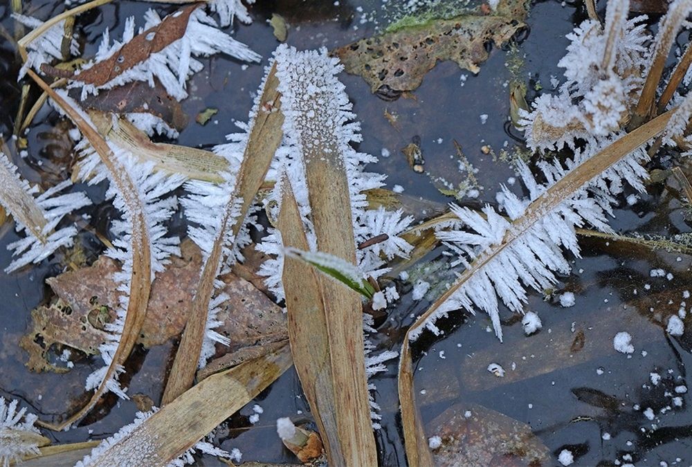 Photograph by Татьяна Пашинцева
