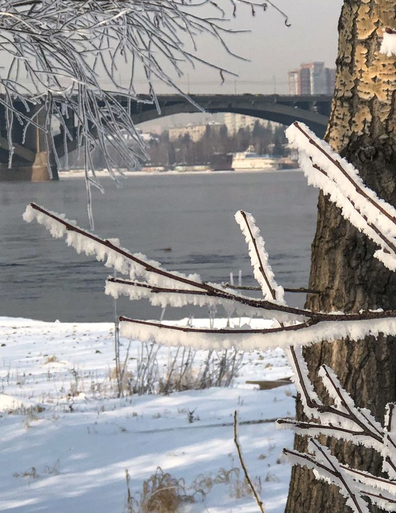 Фотография автора Светлана Гончарова