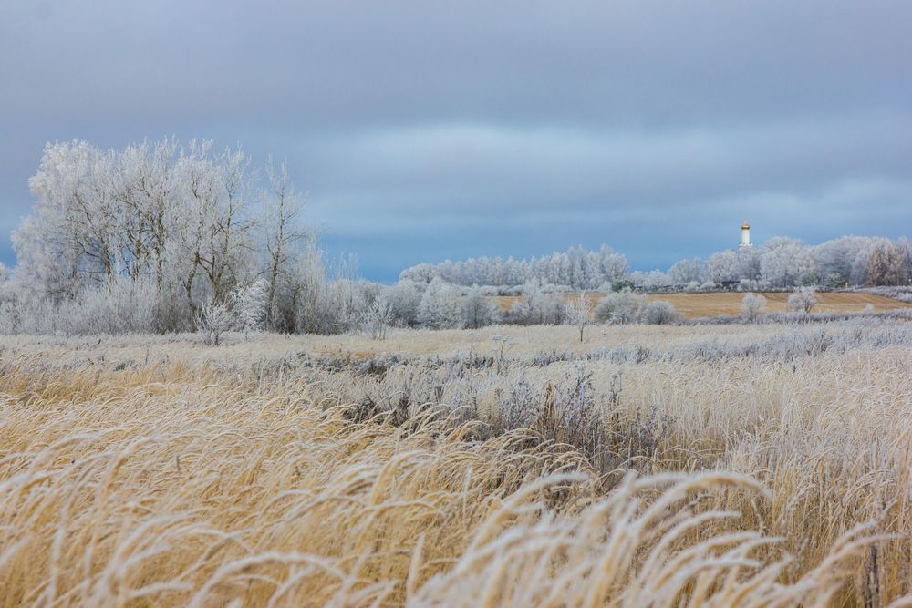 Photograph by Алексей Соколов