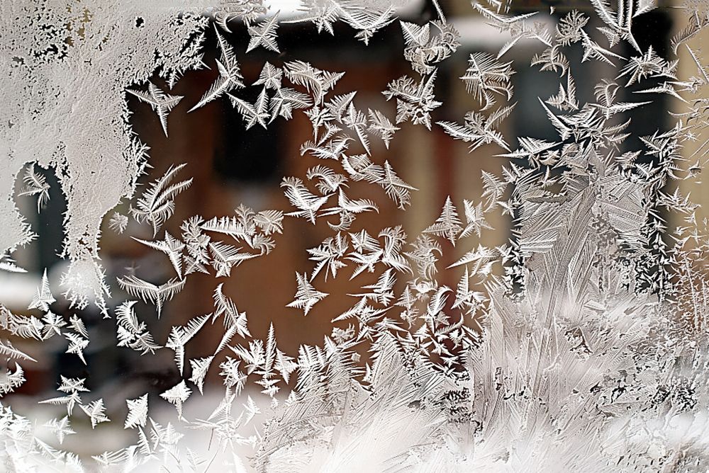 Фотография автора Графов Борис