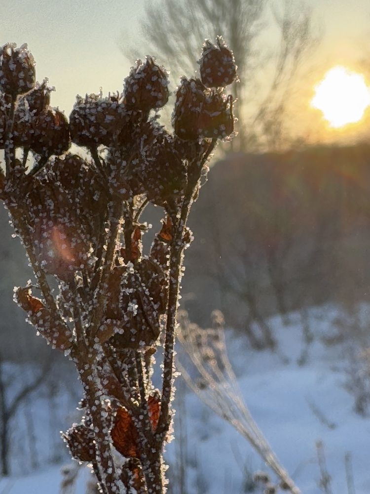 Photograph by Анастасия Самойленко