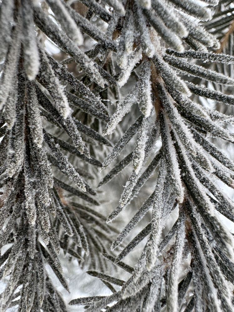 Photograph by Анастасия Самойленко
