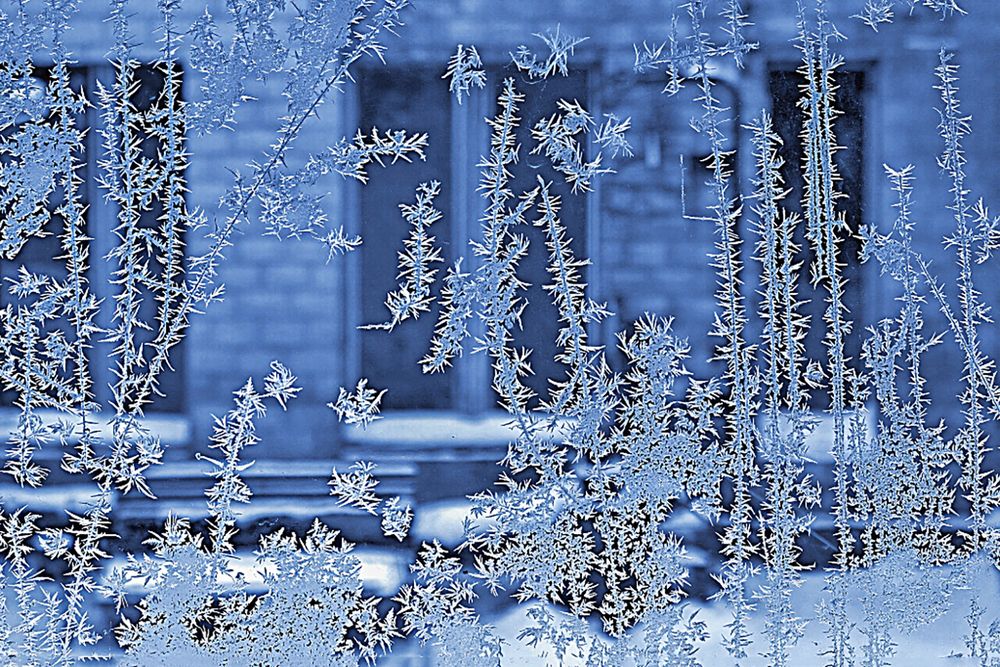 Фотография автора Графов Борис