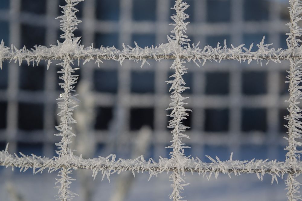 Фотография автора Шипунова Ирина