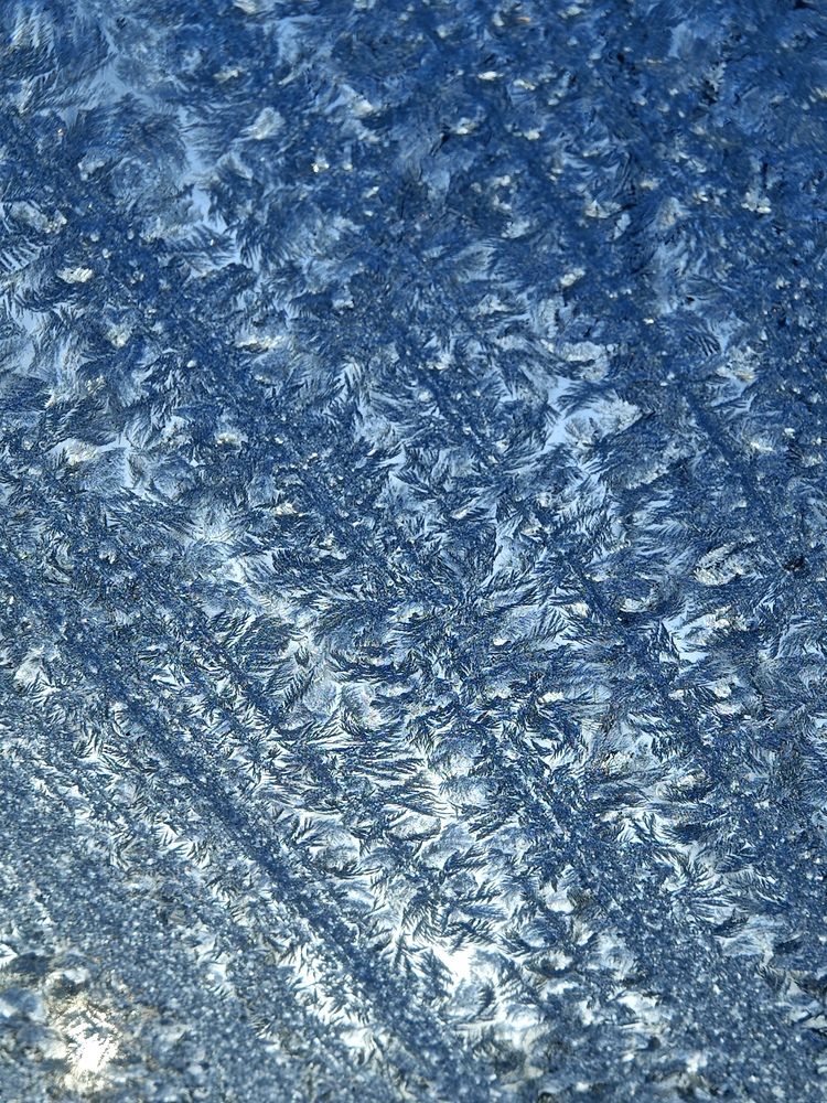 Photograph by Александра Шилова