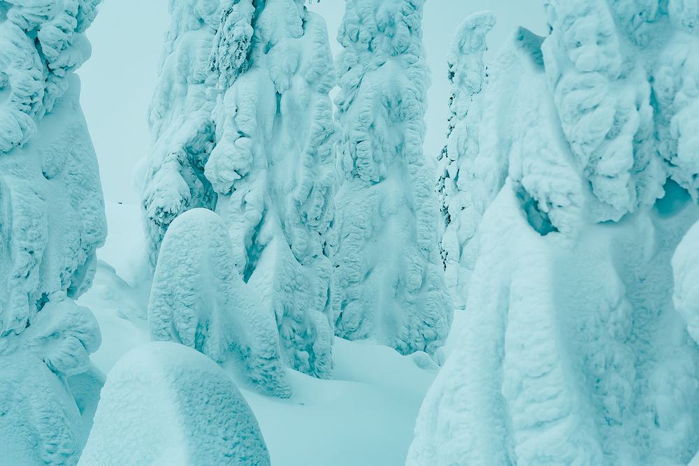 Фотография автора Алексей Новиков