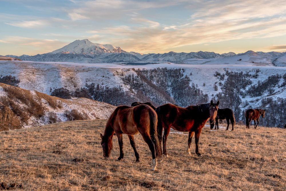 Фотография автора Иван Губский