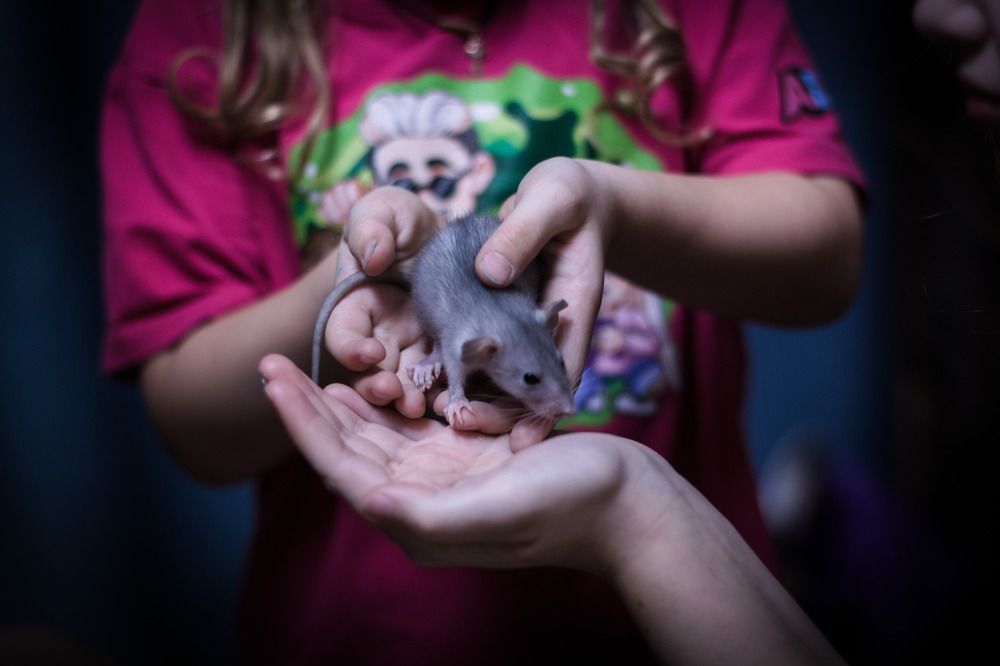 Photograph by Артём Евтюхов