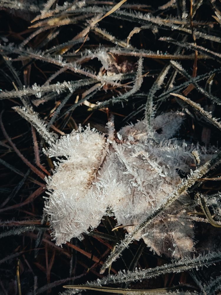 Photograph by Александра Шилова