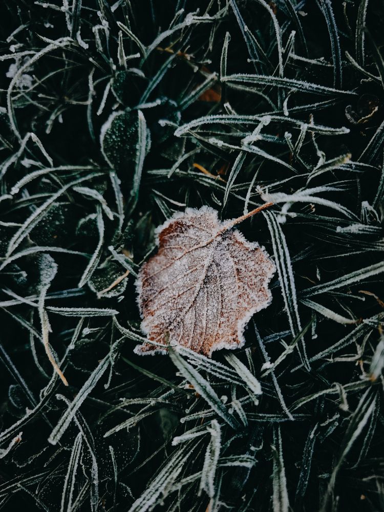 Photograph by Александра Шилова