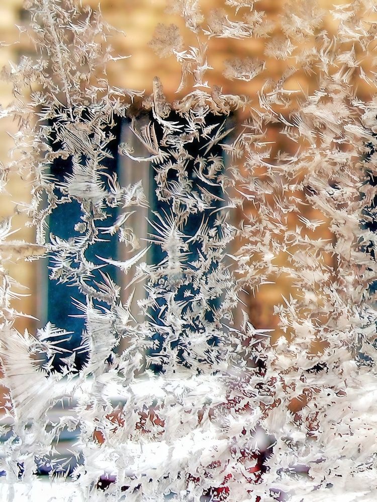 Фотография автора Графов Борис