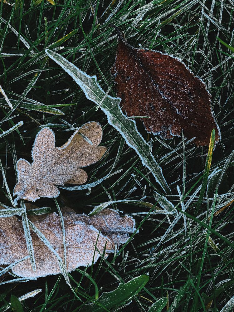 Фотография автора Анна Ворончихина