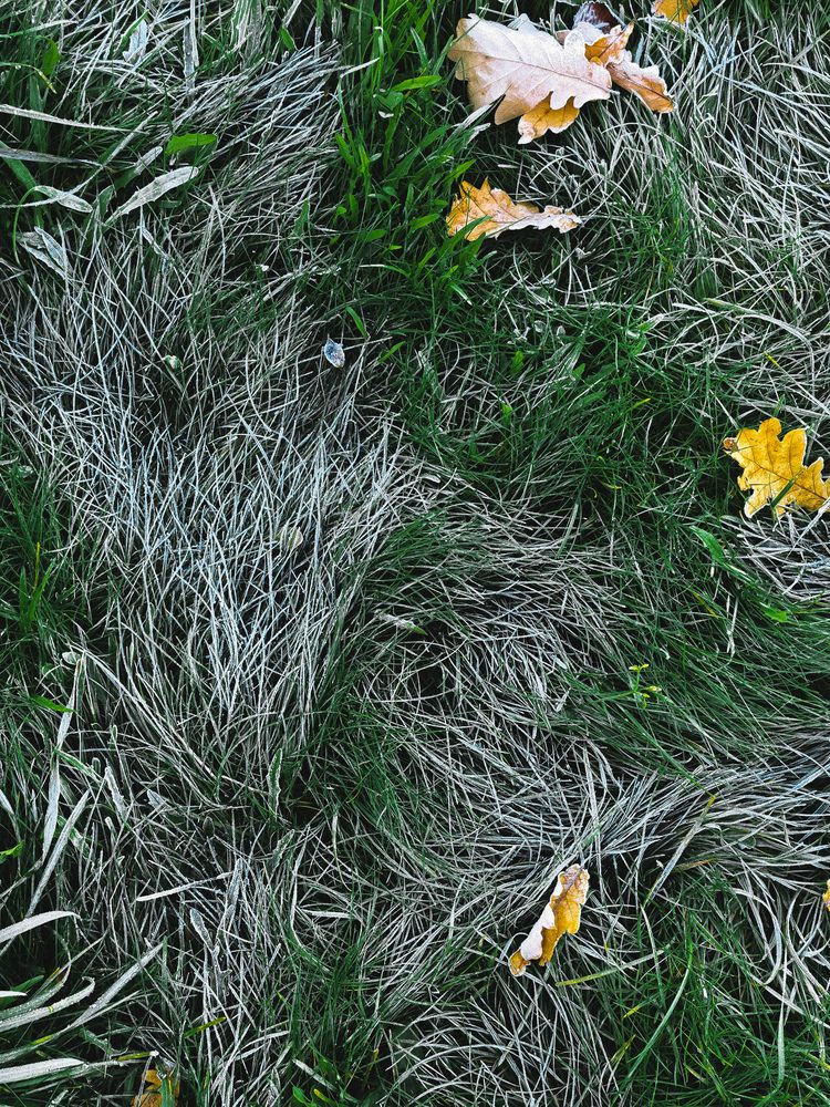 Фотография автора Анна Ворончихина