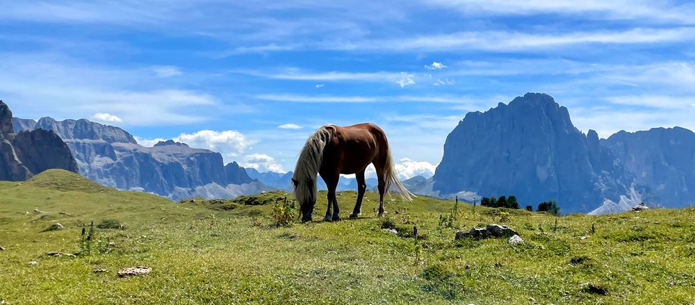 Photograph by Марина