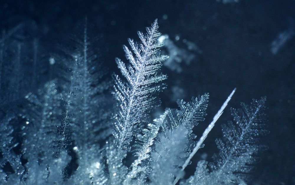 Photograph by Алексей Поляков