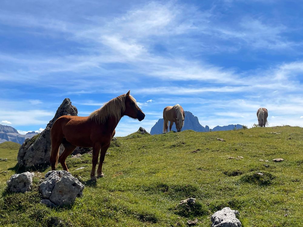 Photograph by Марина