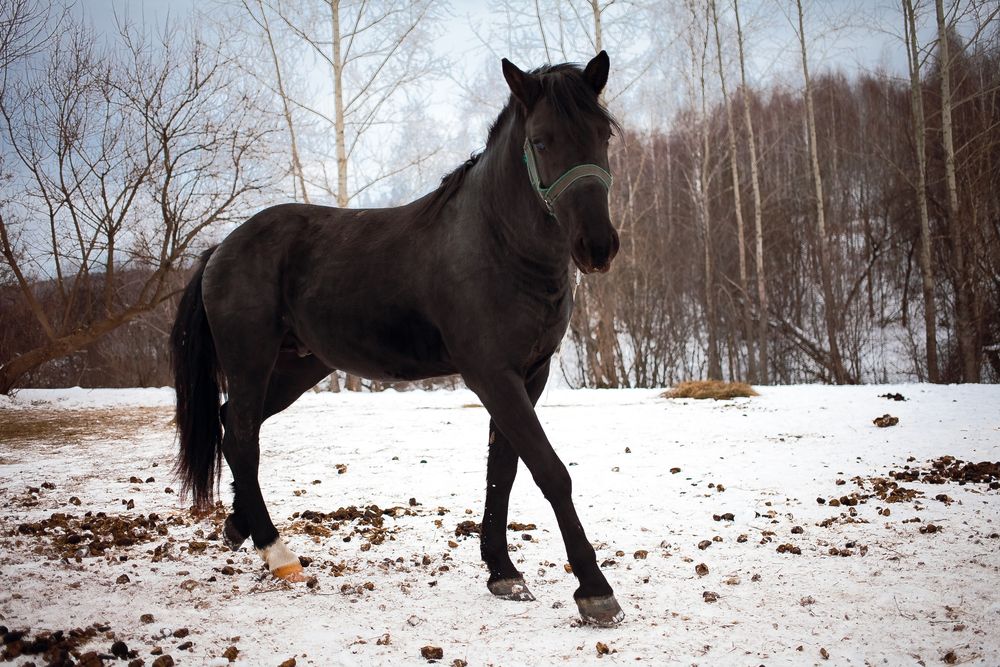 Photograph by Алина Перескокова