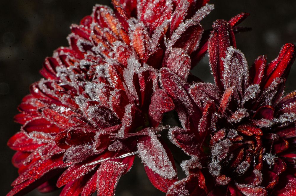 Photograph by Римма Волченко