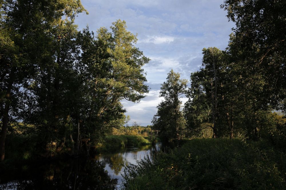 Photograph by АНДРЕЙ МИТЮРИН