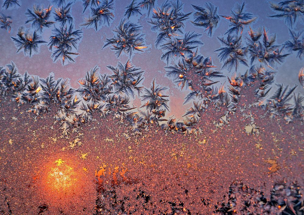 Морозное утро