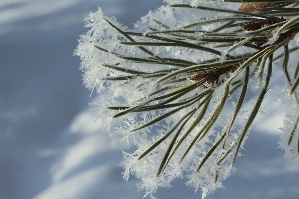 Photograph by Koledova Irina