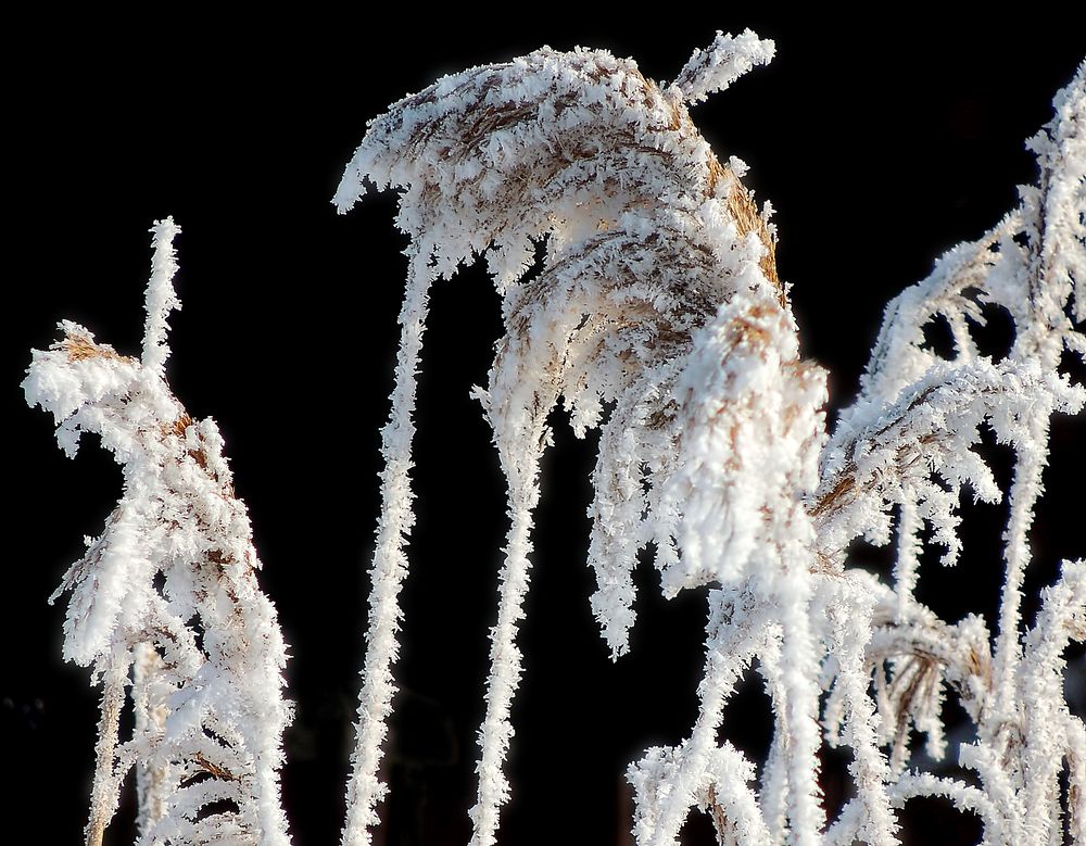 Photograph by Савоцкий Роман