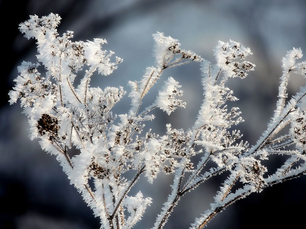 Photograph by Савоцкий Роман