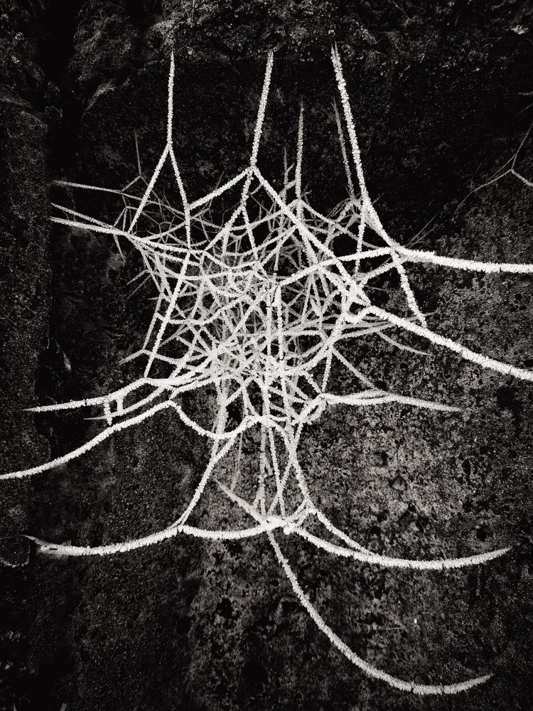 Photograph by Савоцкий Роман