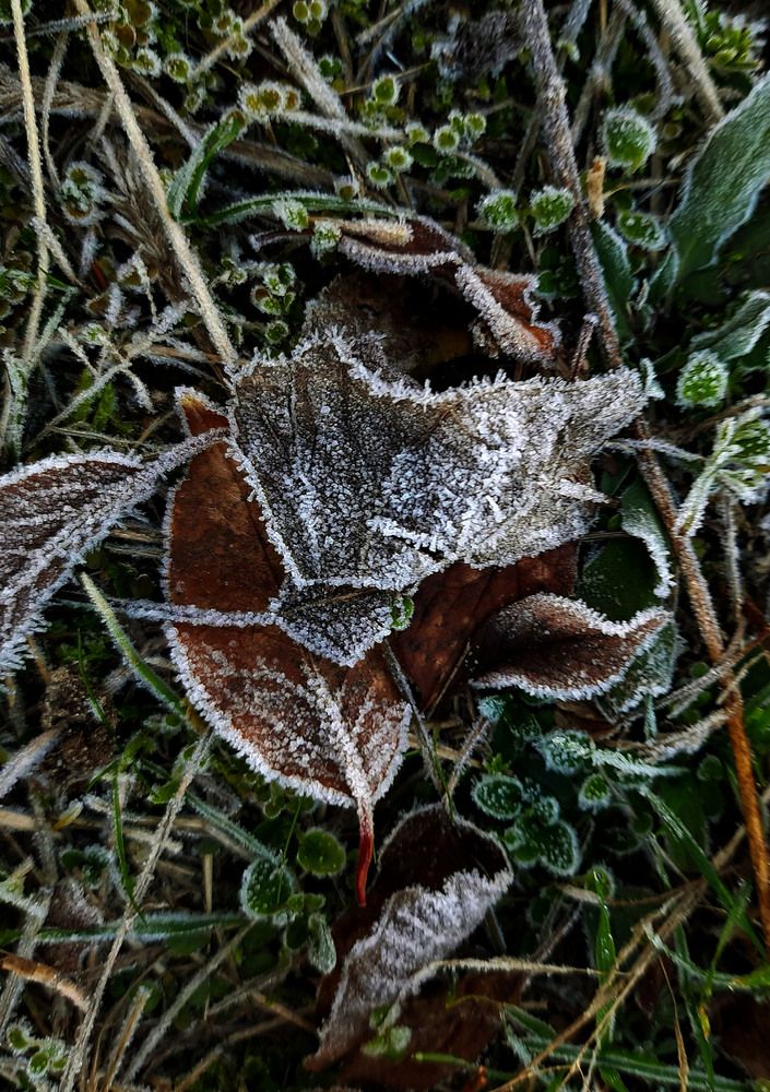 Фотография автора Юлия Юрьевна
