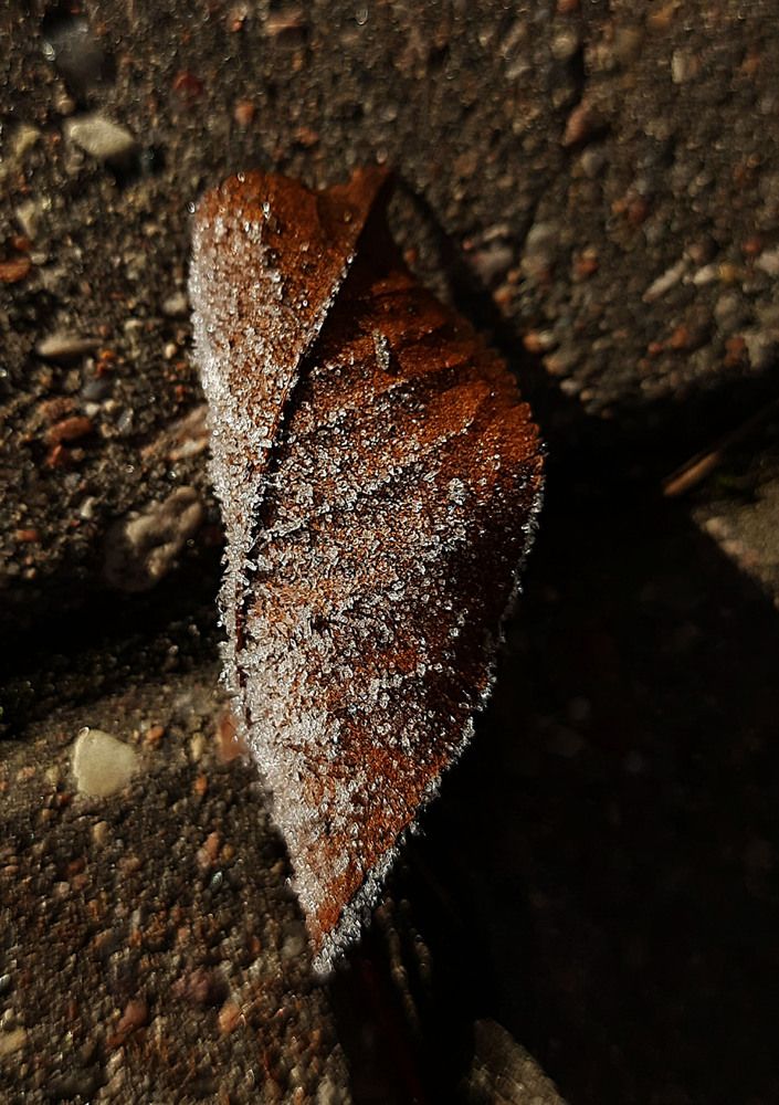 Фотография автора Юлия Юрьевна