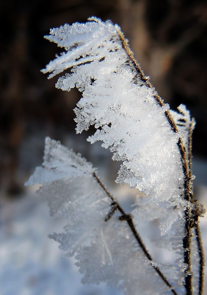 Фотография автора Роман Савоцкий