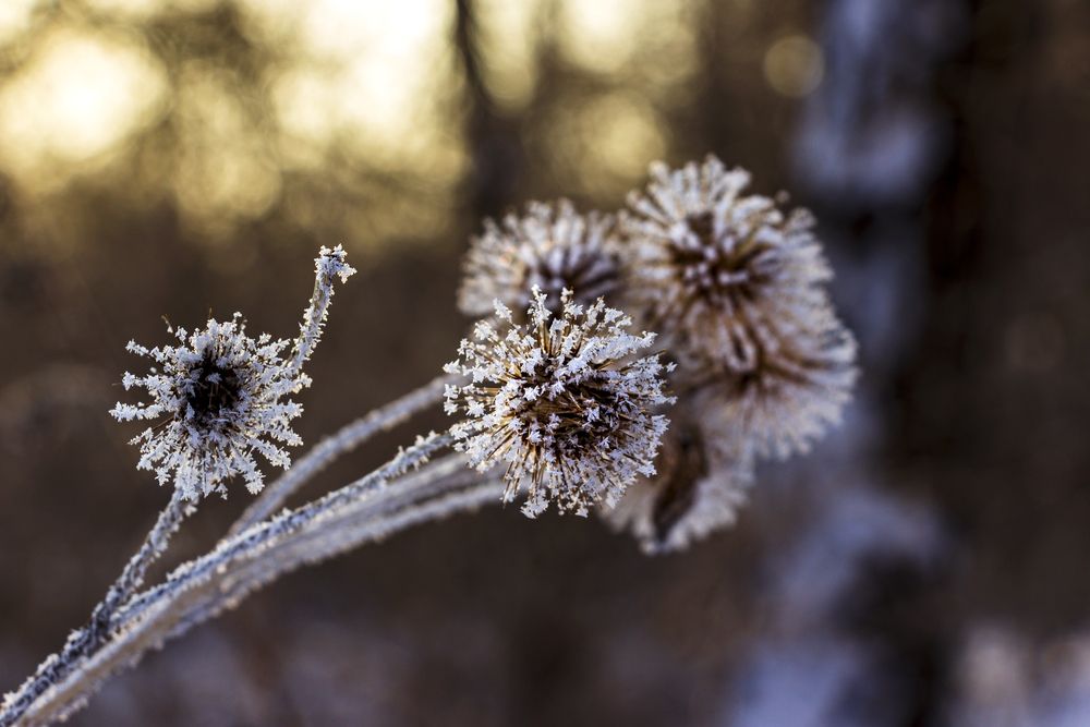 Photograph by Sergey Tsubanov