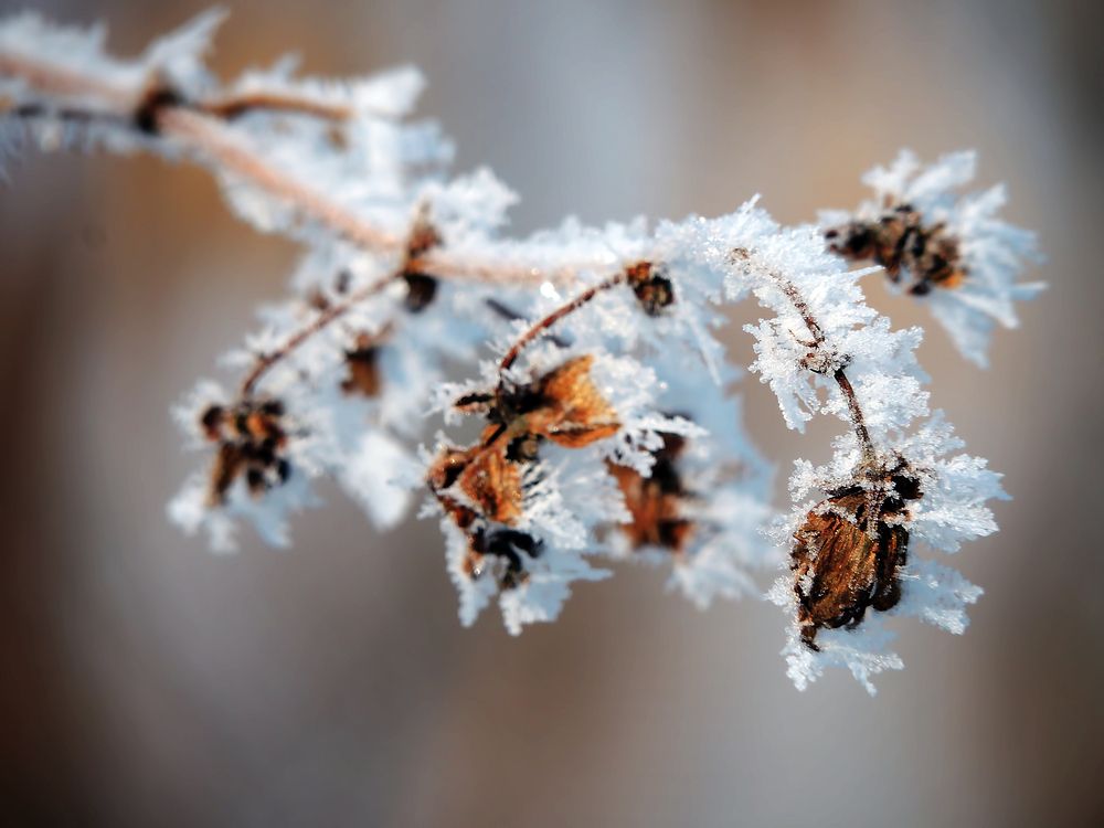 Фотография автора Роман Савоцкий