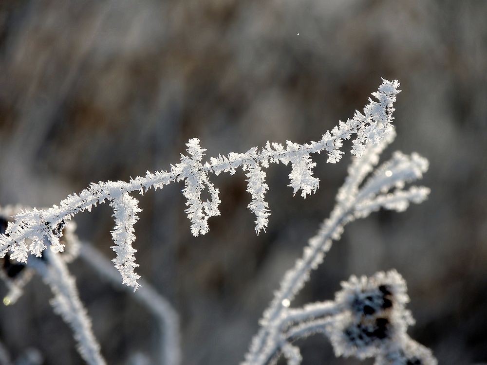 Фотография автора Роман Савоцкий