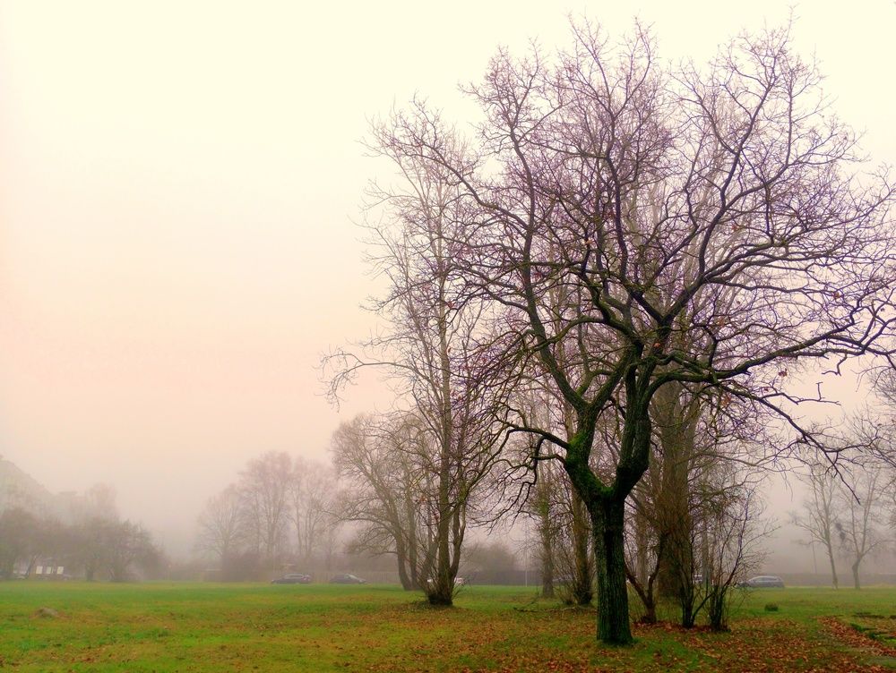 Photograph by 