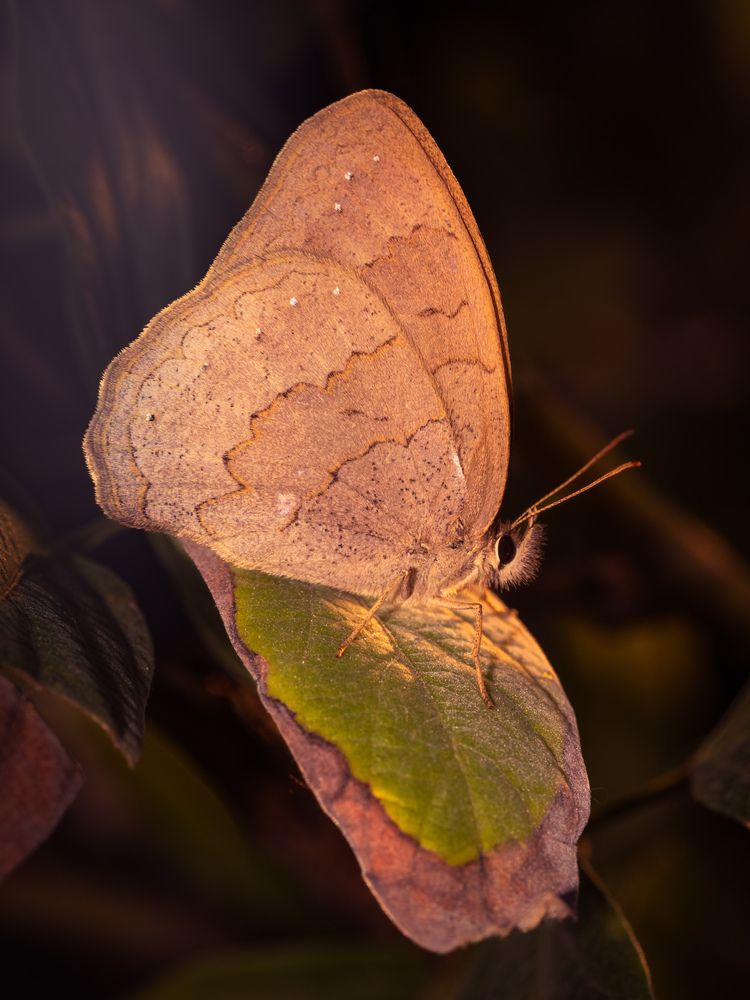 Photograph by Silvio José