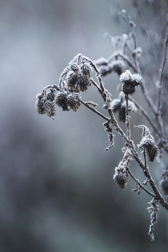 Photograph by Степан Ковыльчик