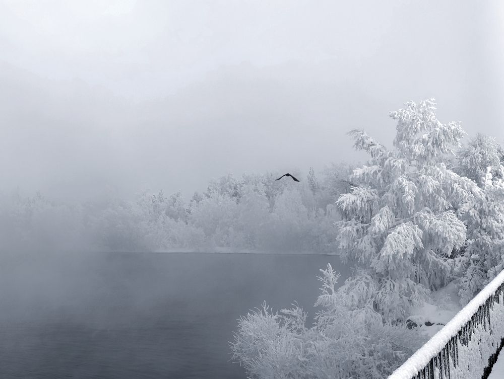 Photograph by Елена Шишкина