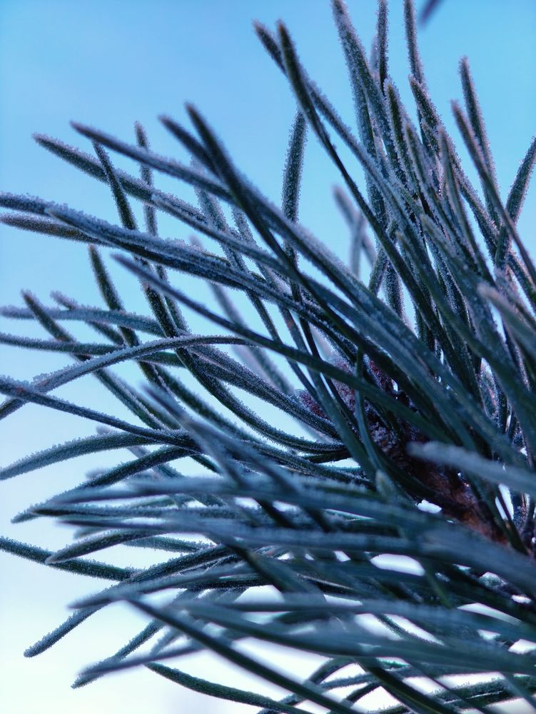 Photograph by Дарина Ворошилова