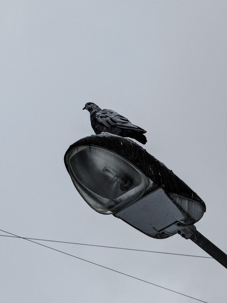 Photograph by Дмитрий Спидченко