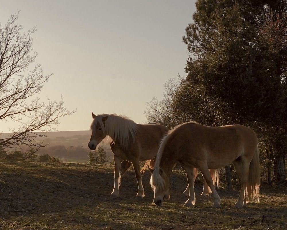 Photograph by Marina Odintsova