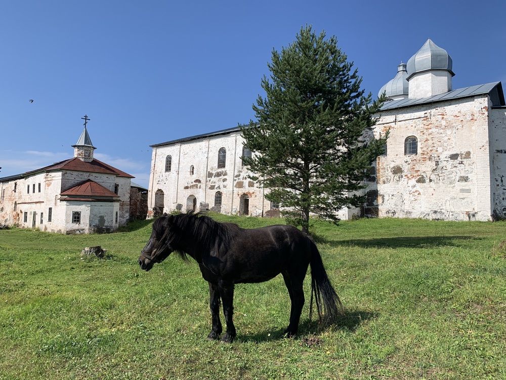 Photograph by Наталья Бирук