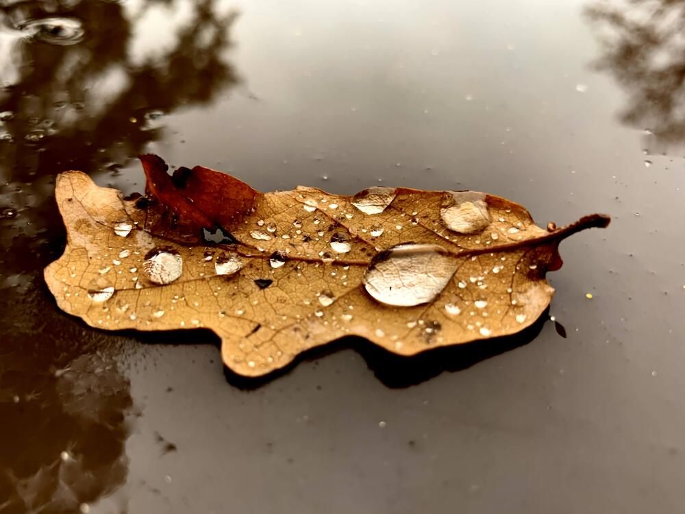Photograph by Nataliia Pentjusa