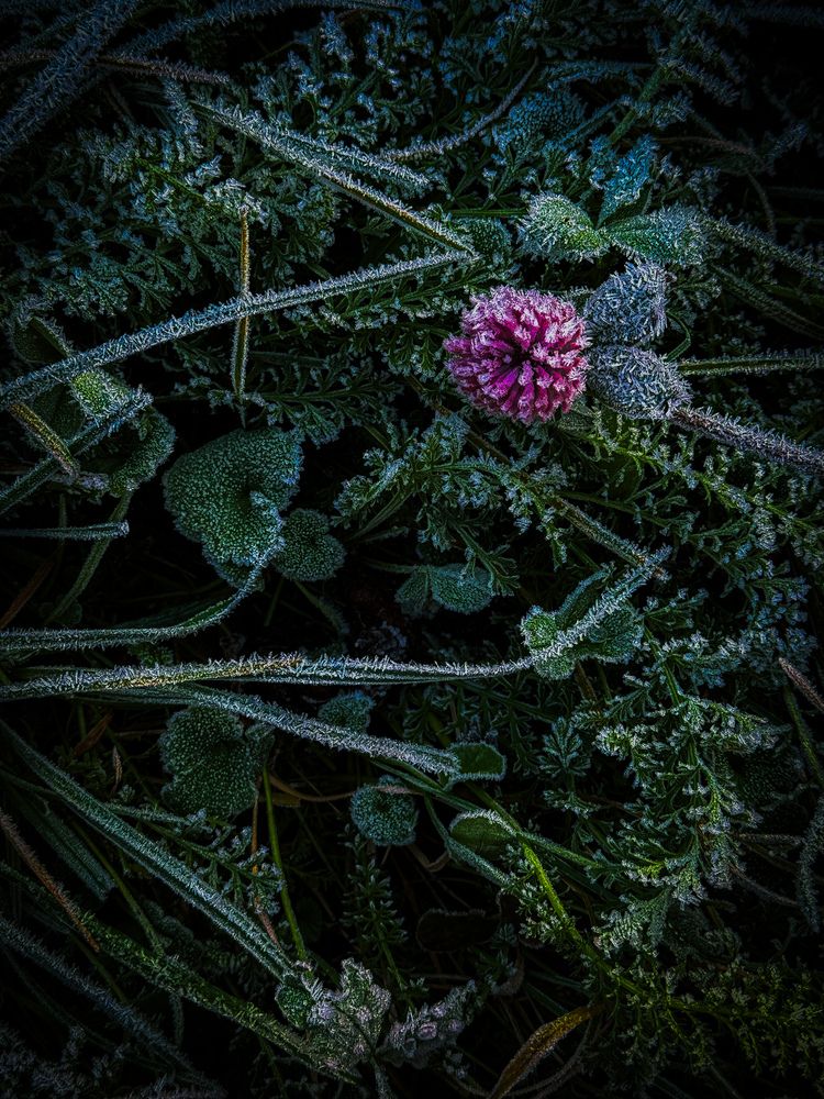 Photograph by Анна Пигулевская