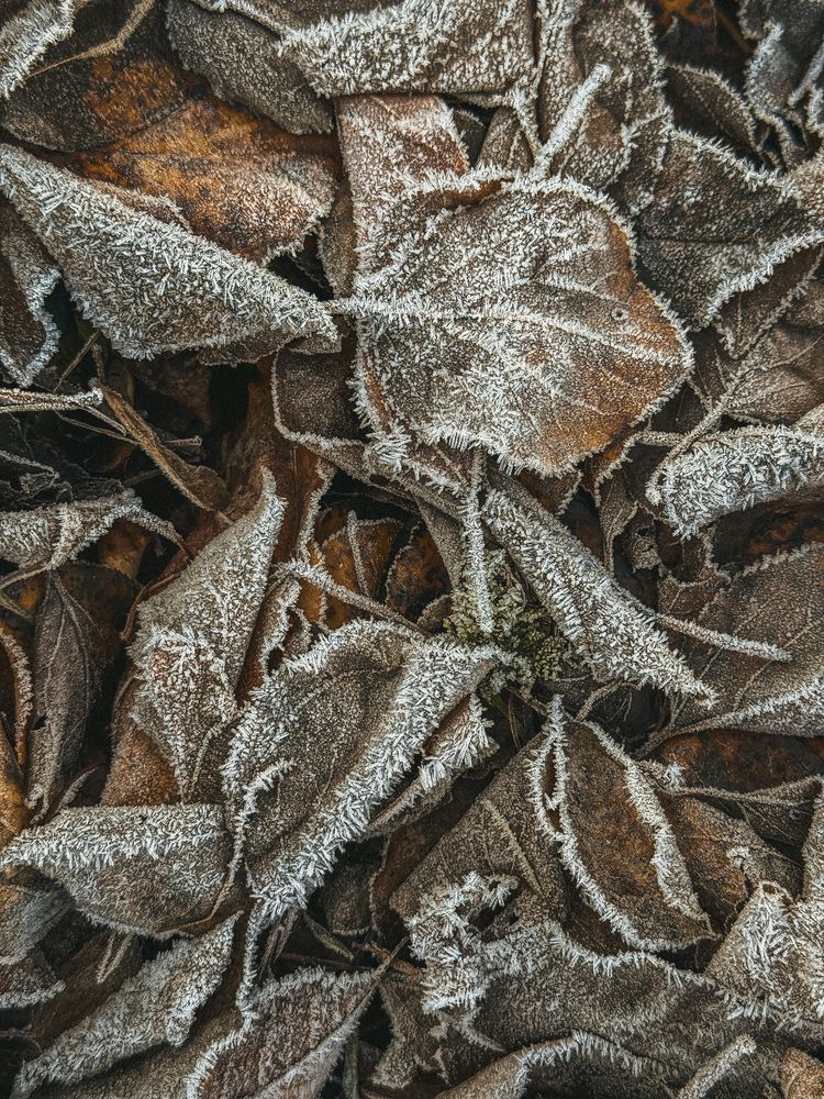 Photograph by Анна Пигулевская